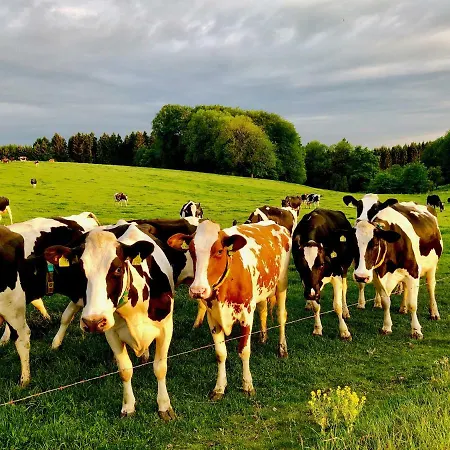 4-zimmer Auf Resthof Halver