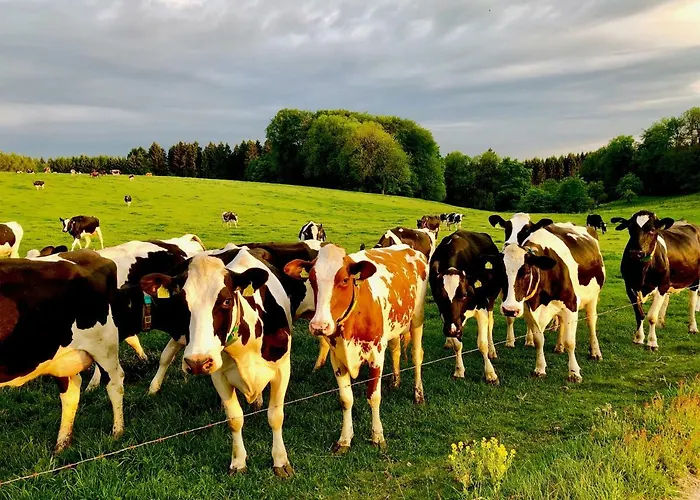 4-zimmer Auf Resthof Halver